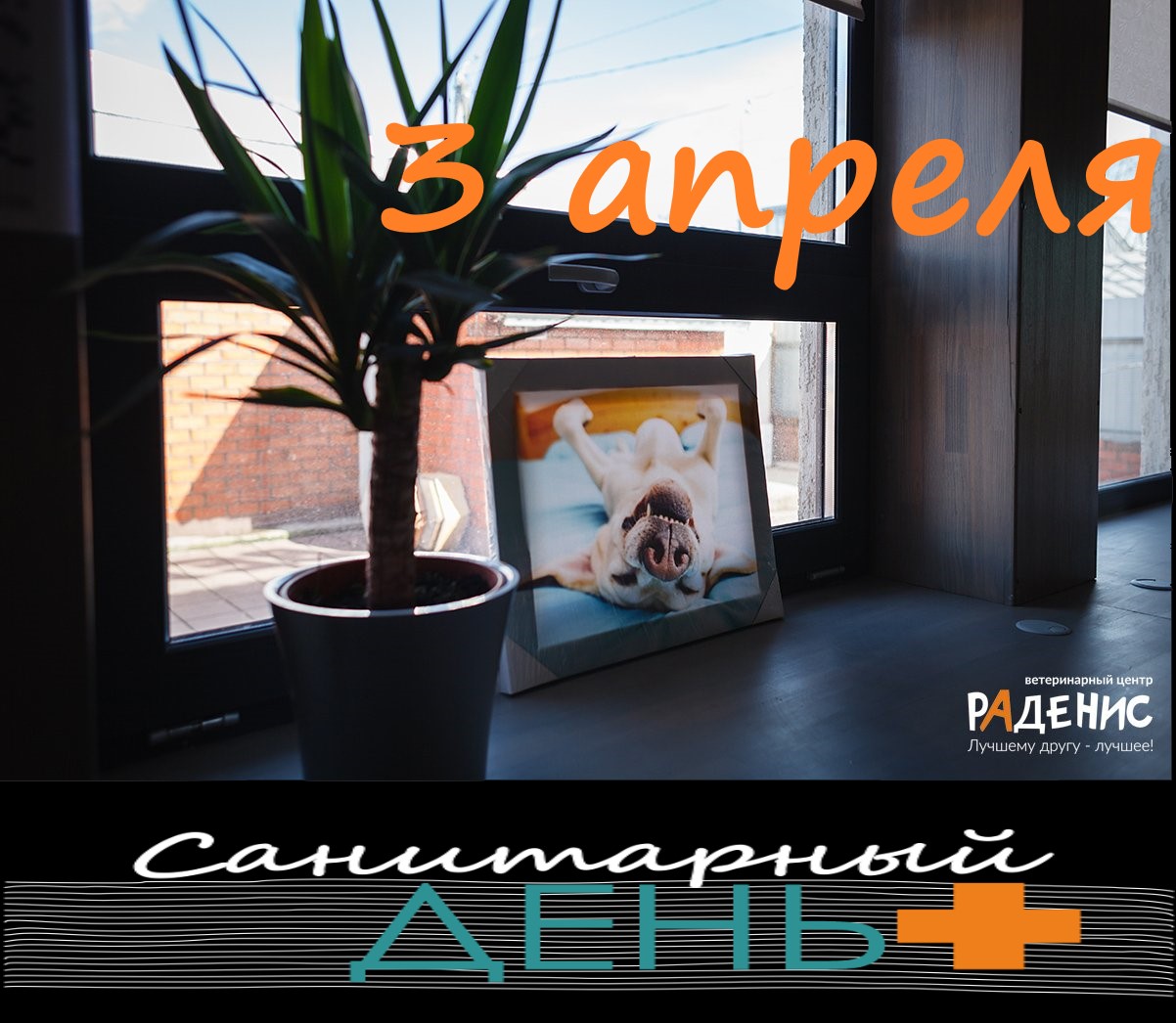 3 апреля САНИТАРНЫЙ ДЕНЬ!