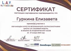 Гуркина Елизавета Николаевна